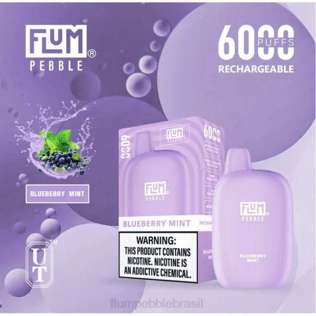 FLUM PEBBLES 6000 baforadas hortelã de mirtilo 828A17 | FLUM PEBBLE VAPE FLAVORS